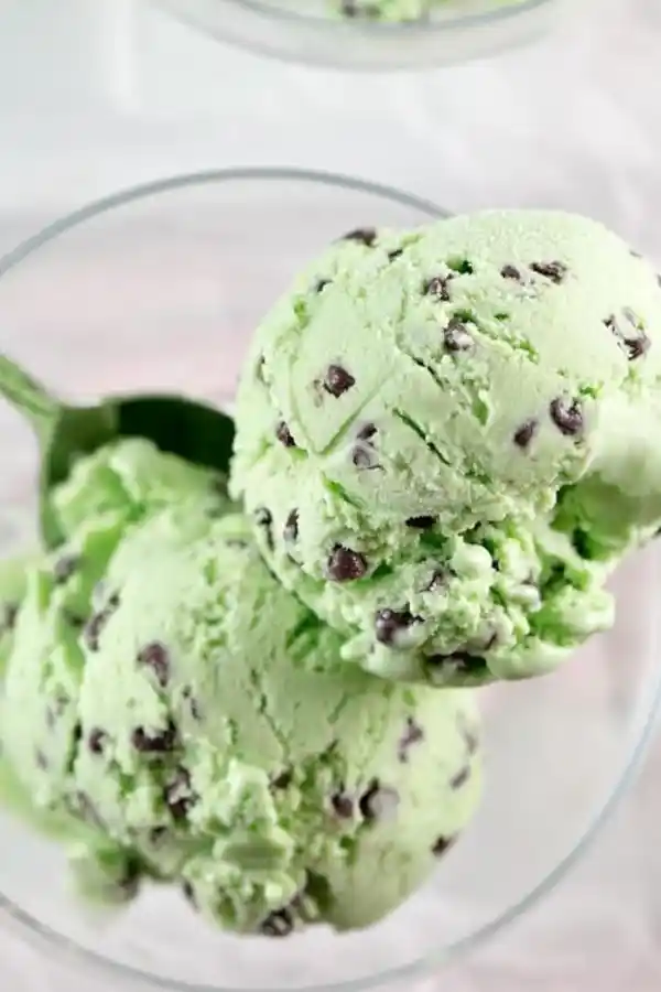 Mint Chocolate Chip Ice Cream