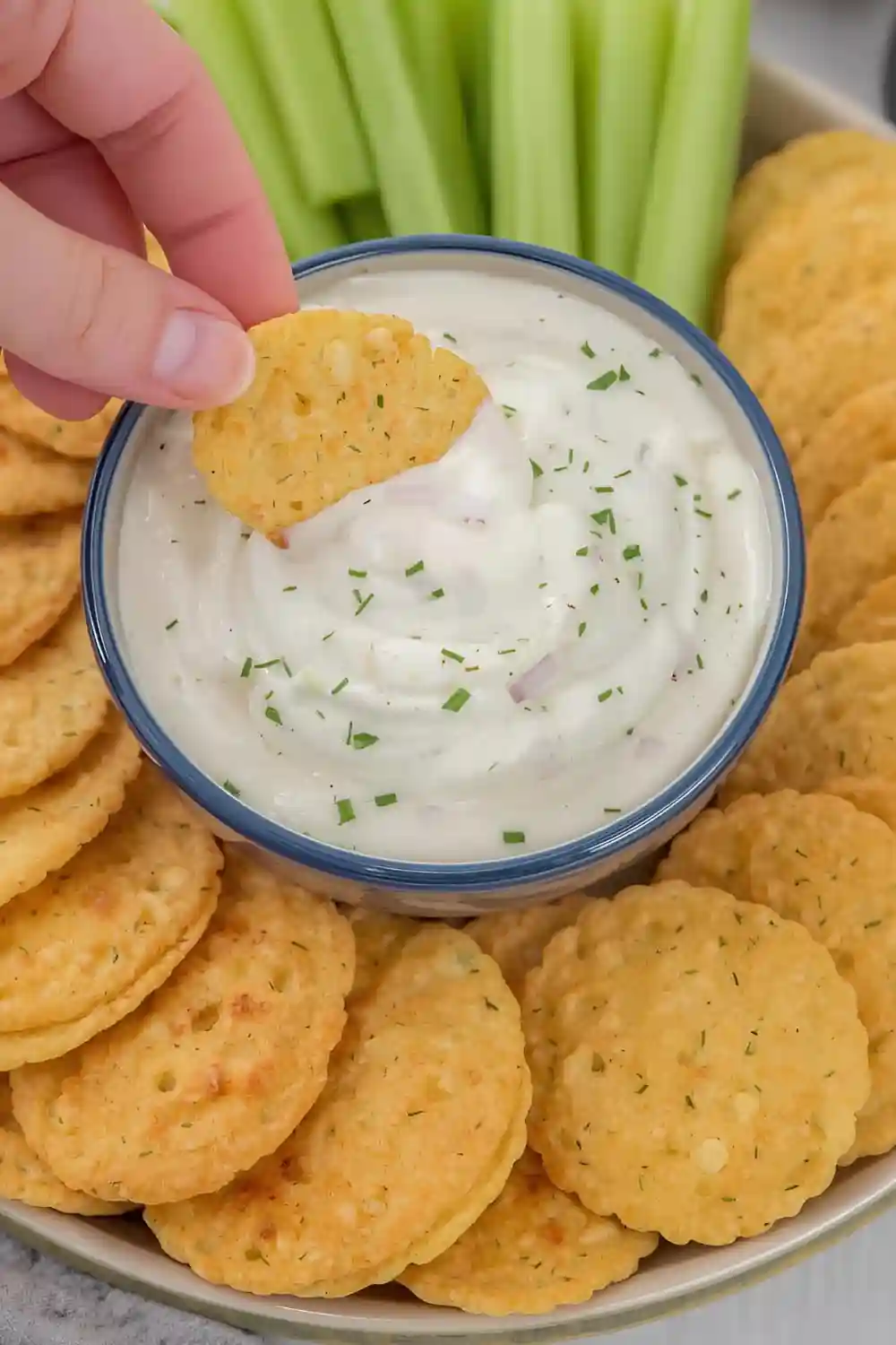 Sour Cream and Onion Dip